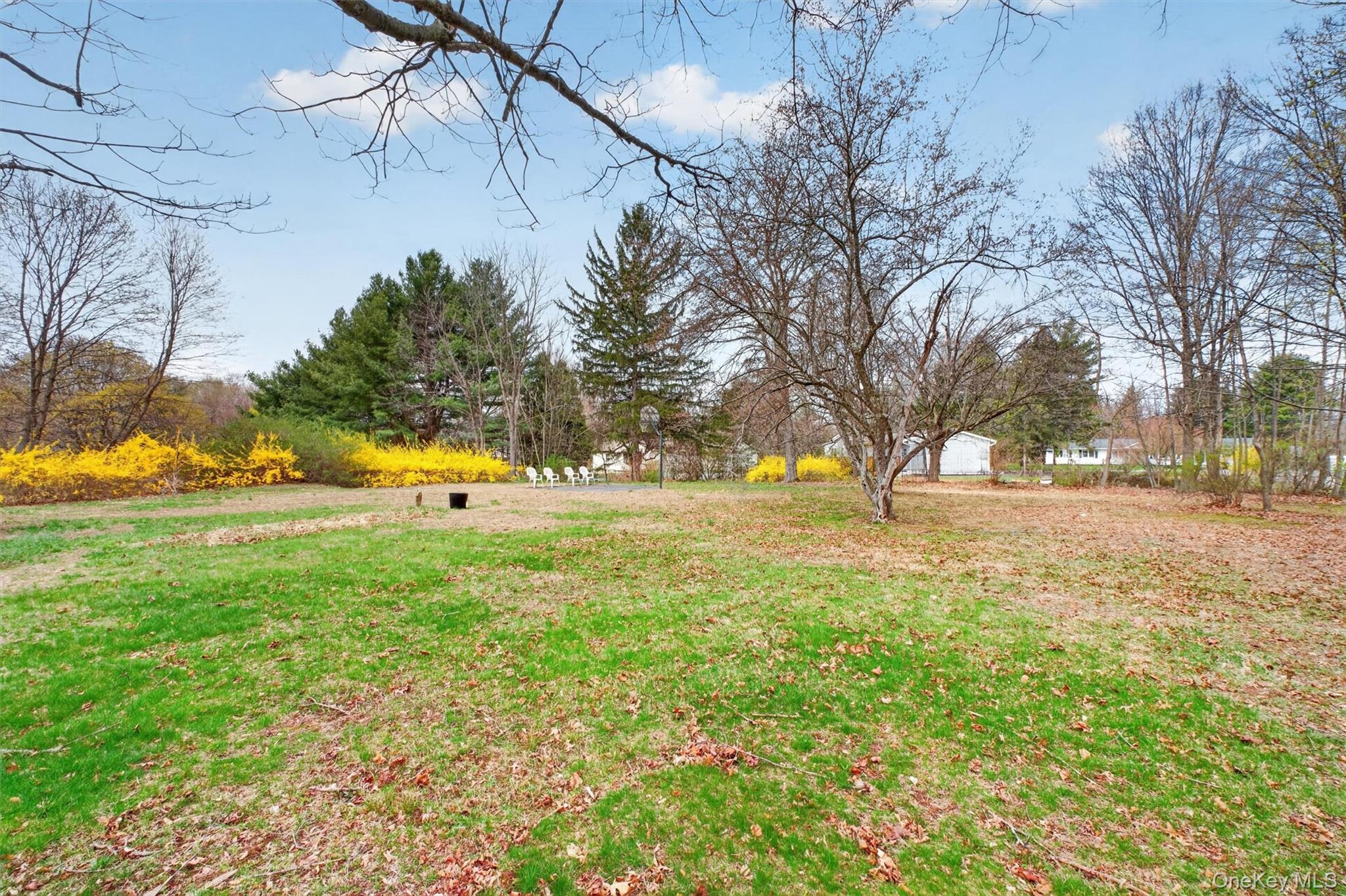 19 Marion Avenue Property Photo 36