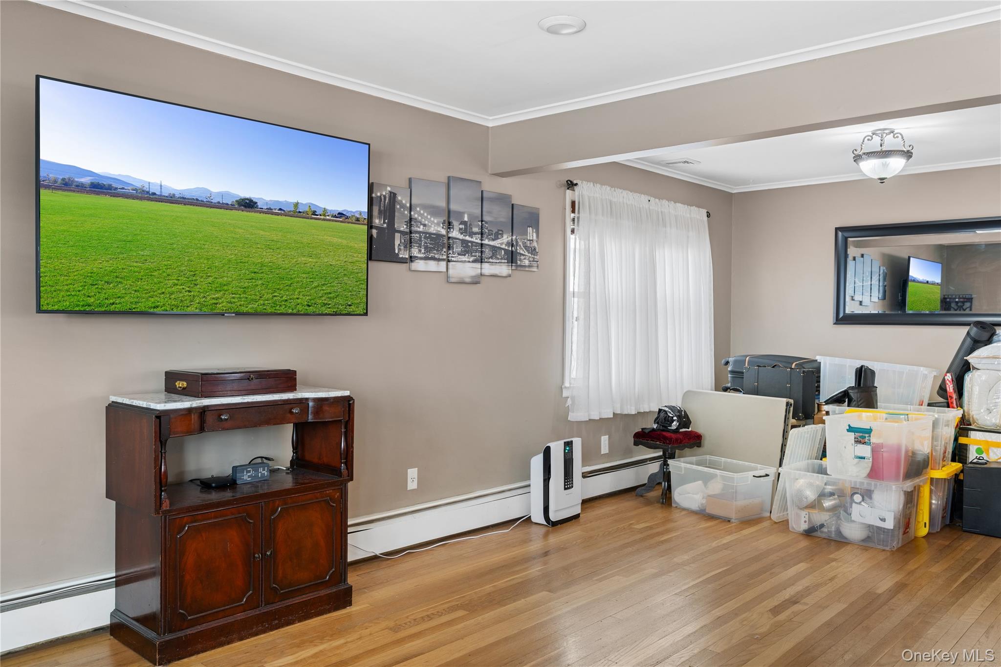 36 Elton Street Property Photo 5
