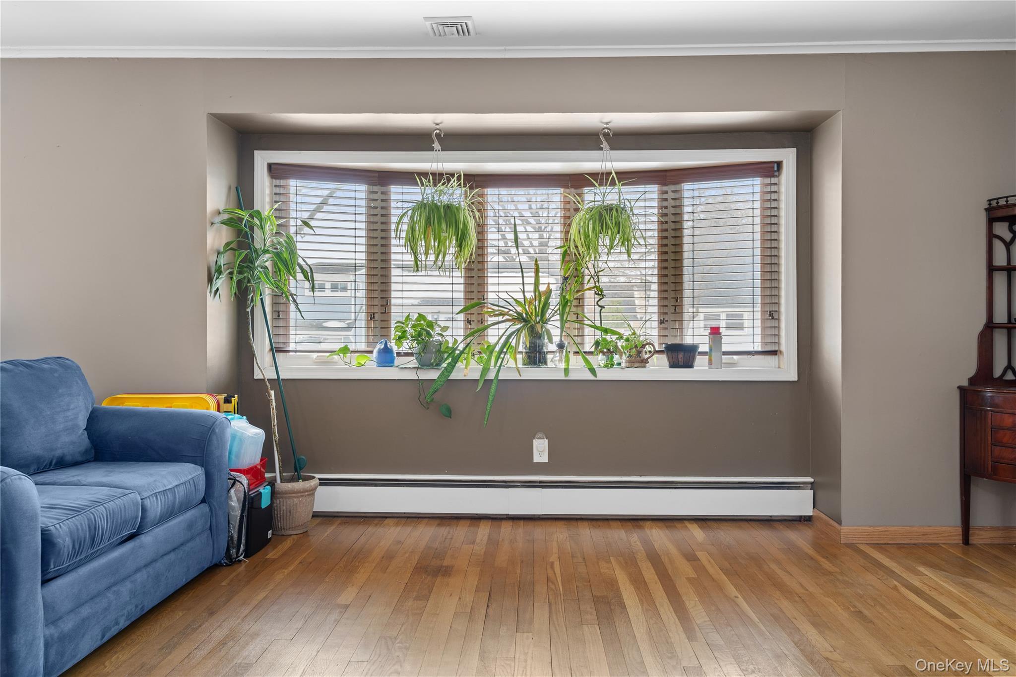 36 Elton Street Property Photo 10