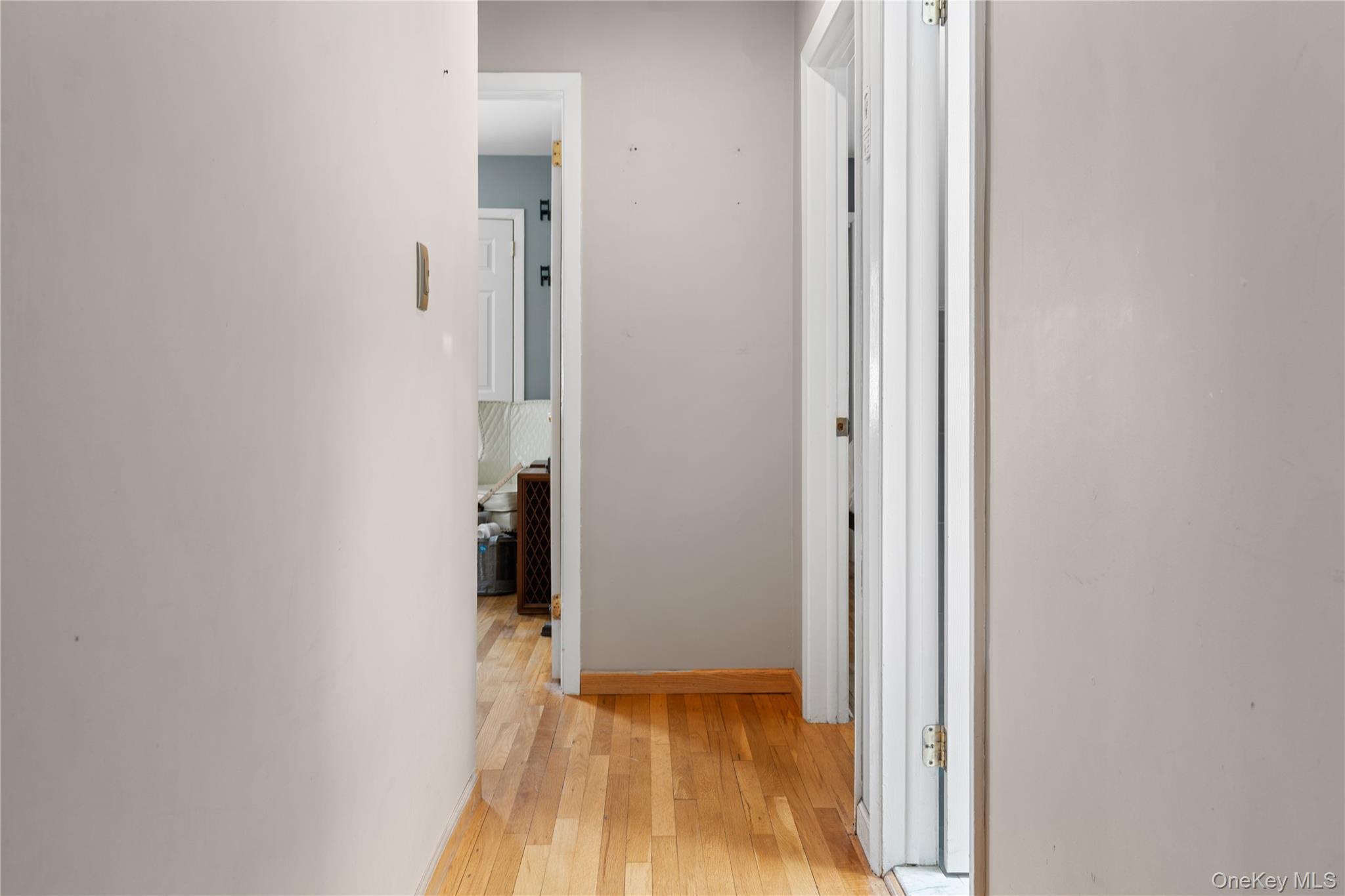 36 Elton Street Property Photo 14