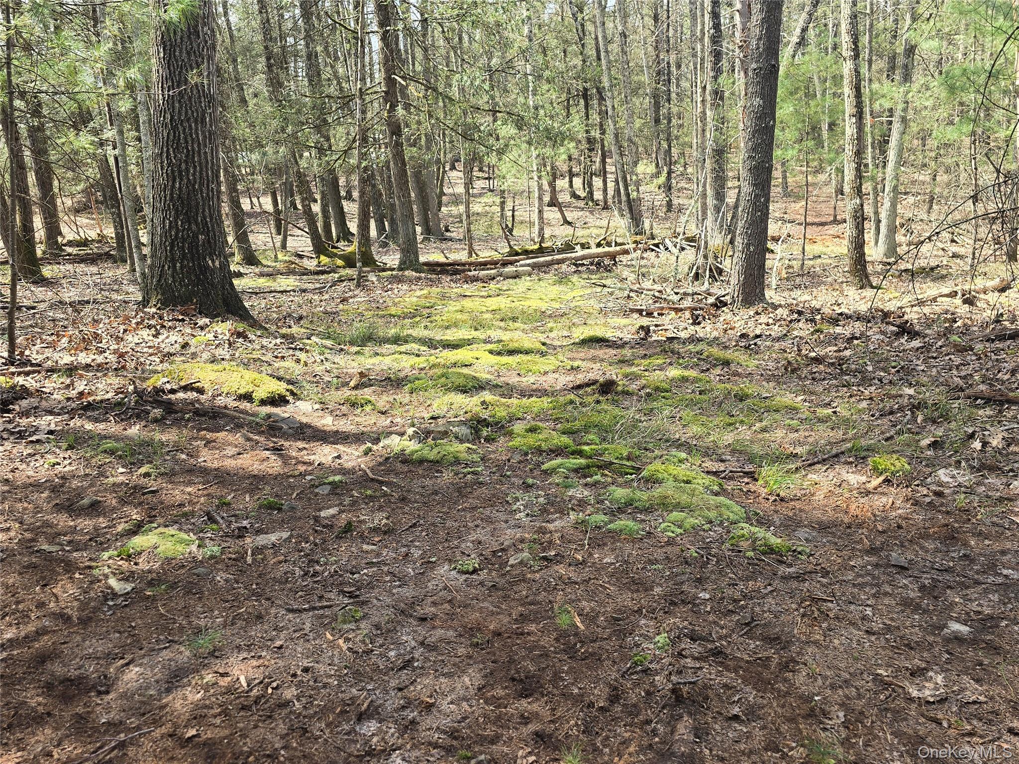 Lot 5 Evergreen Drive Property Photo 1