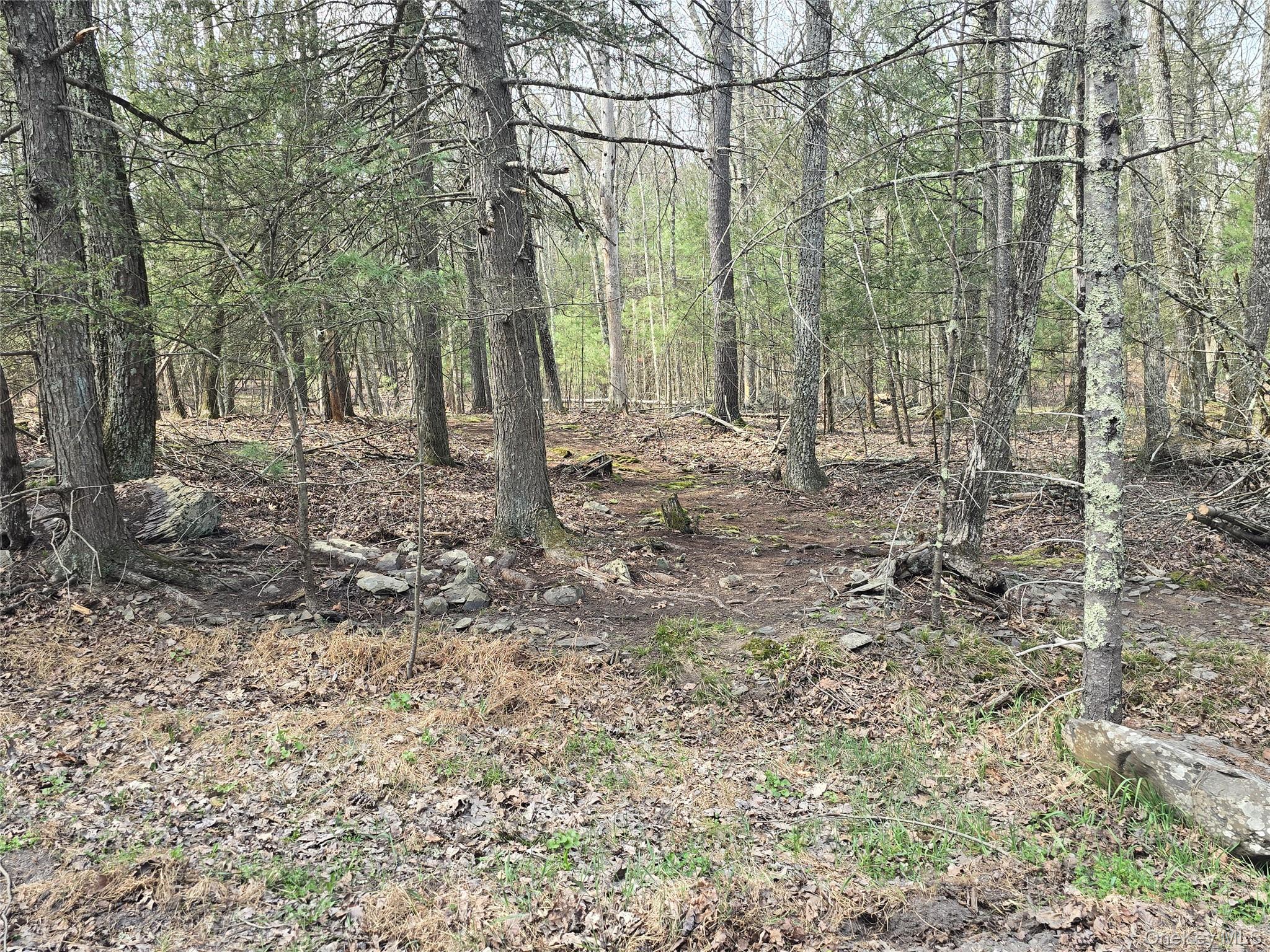 Lot 5 Evergreen Drive Property Photo 3