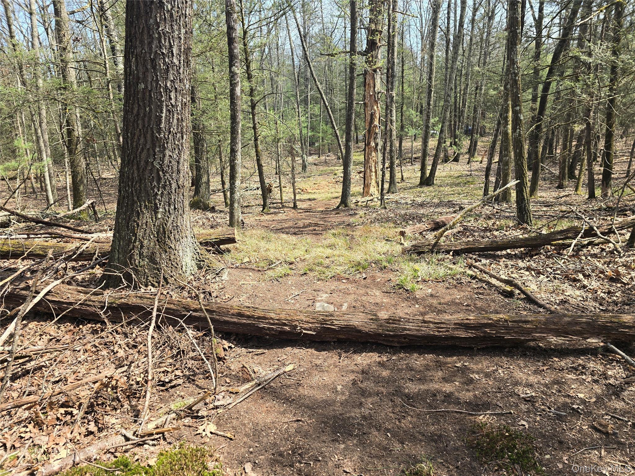 Lot 5 Evergreen Drive Property Photo 5