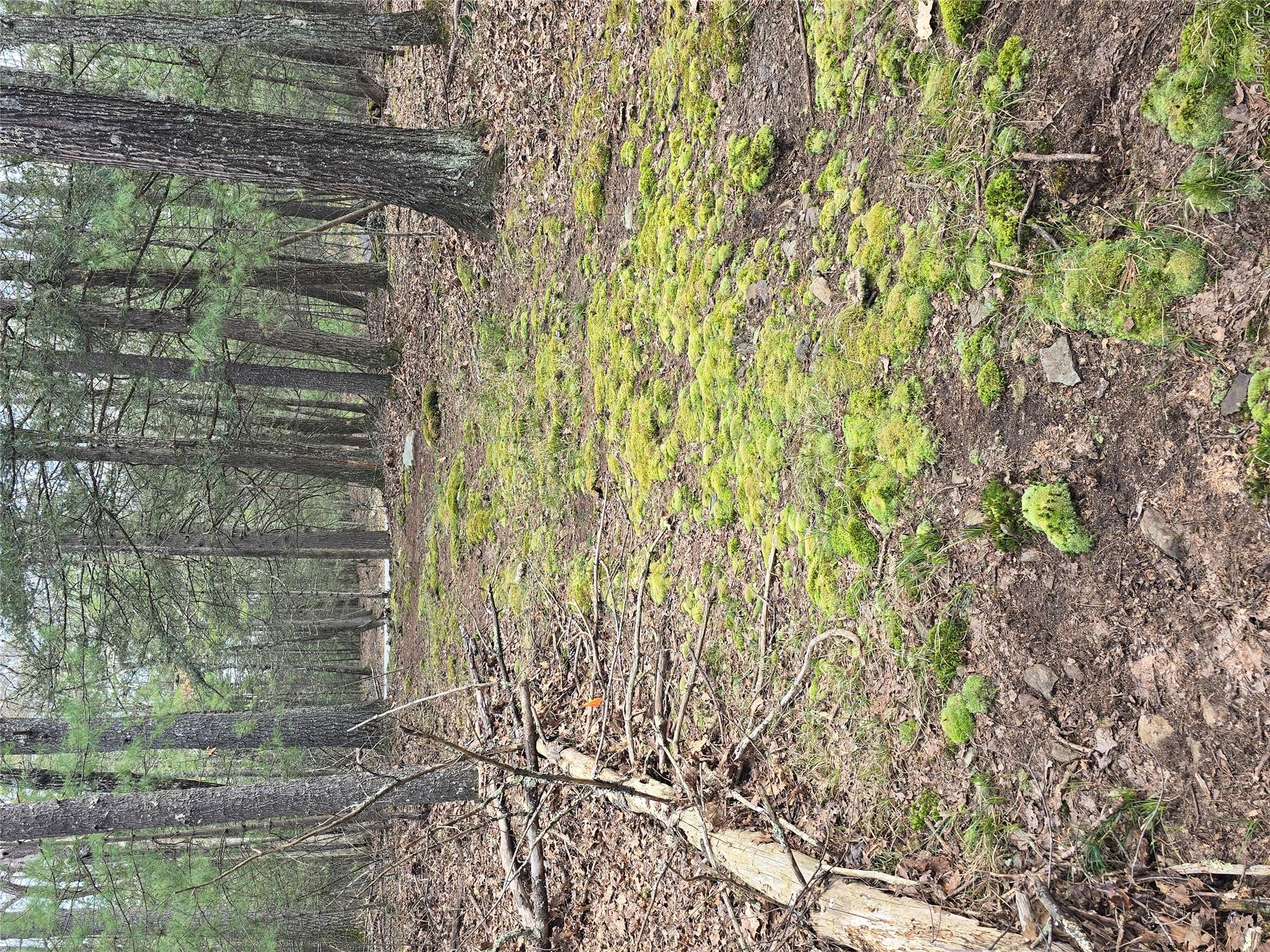 Lot 5 Evergreen Drive Property Photo 7