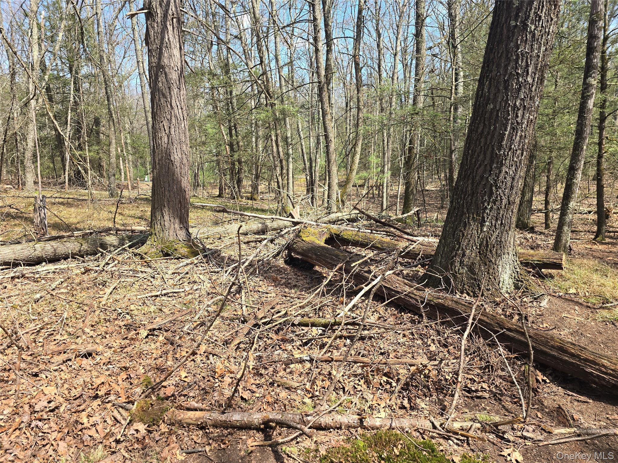 Lot 5 Evergreen Drive Property Photo 9