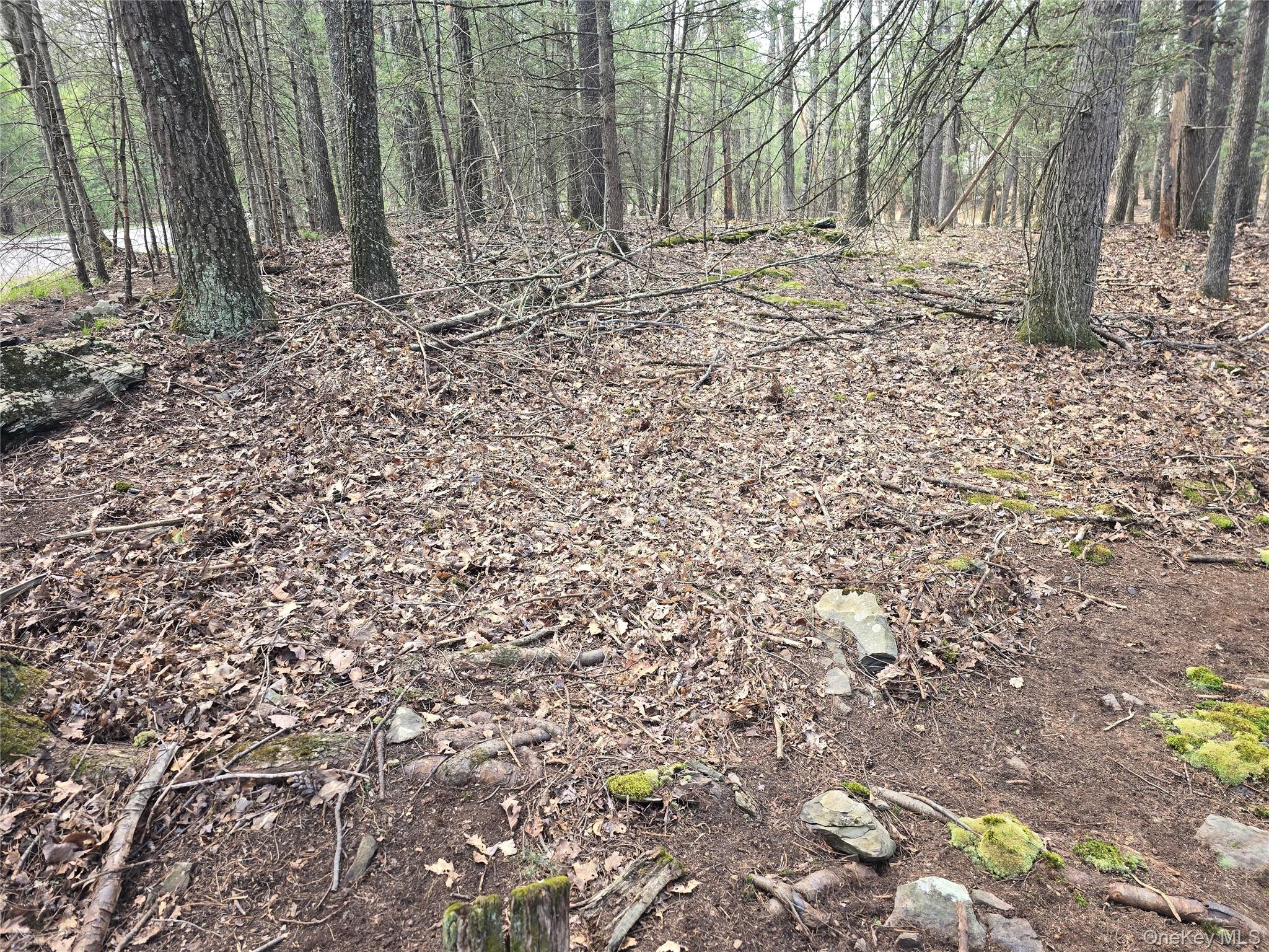 Lot 5 Evergreen Drive Property Photo 11