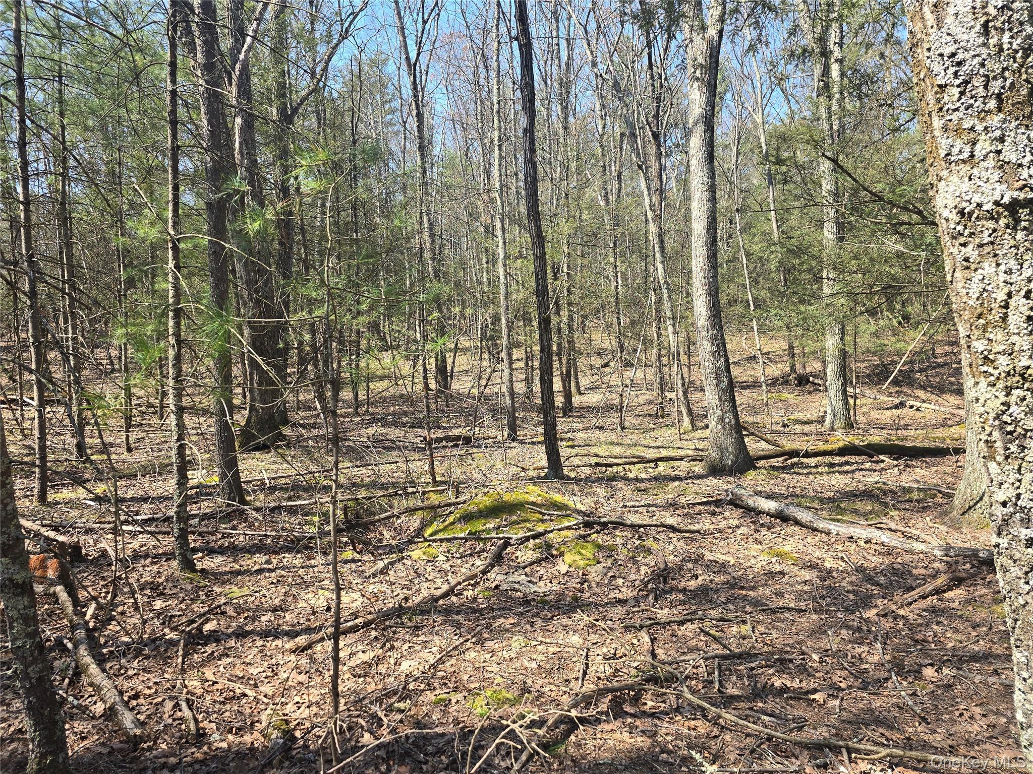 Lot 5 Evergreen Drive Property Photo 12