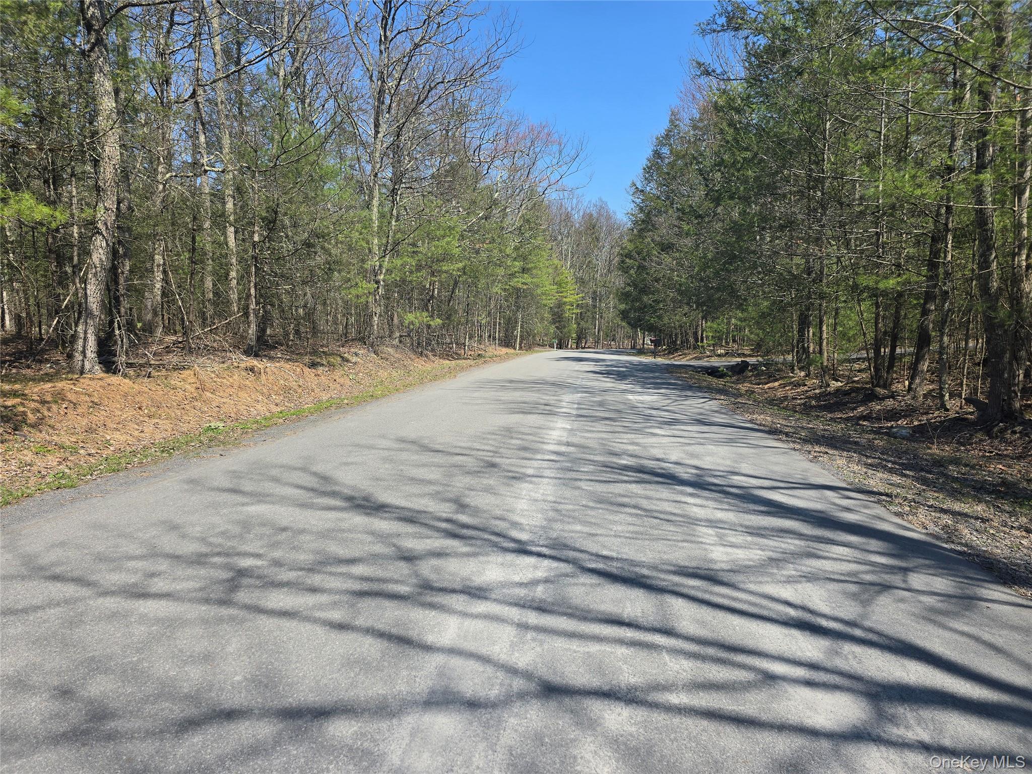 Lot 5 Evergreen Drive Property Photo 13