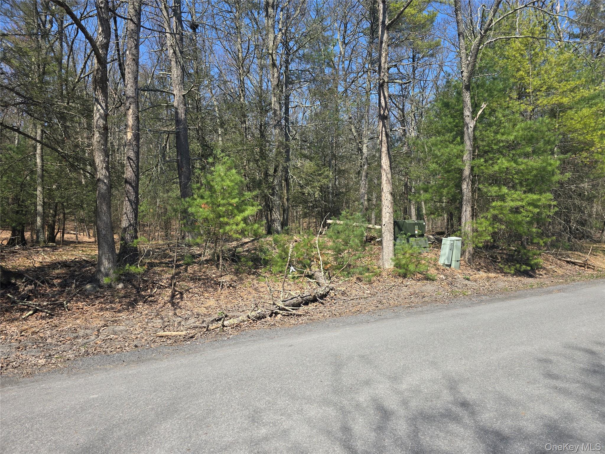 Lot 5 Evergreen Drive Property Photo 14