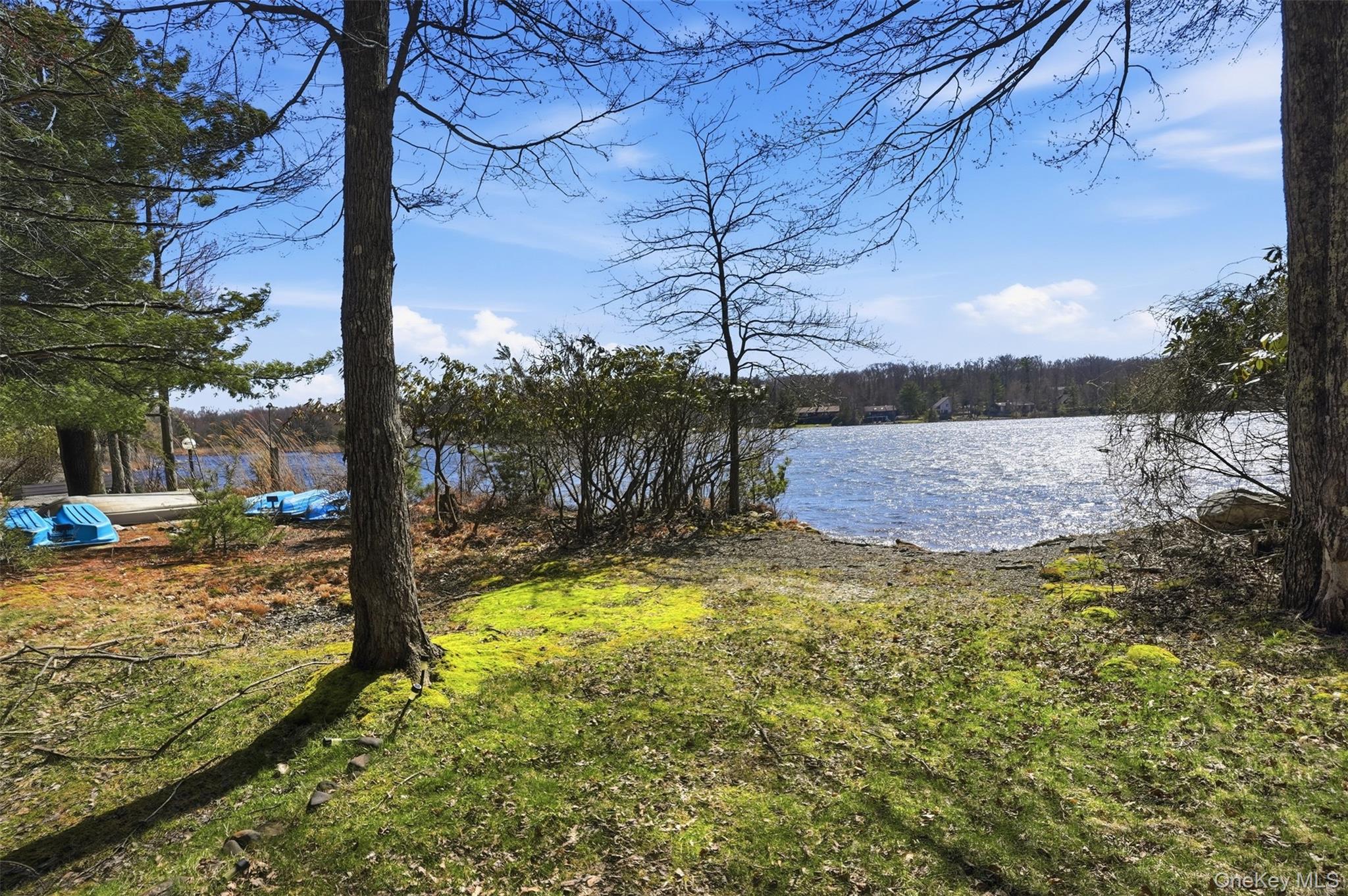119 Lake Shore Drive Property Photo 3