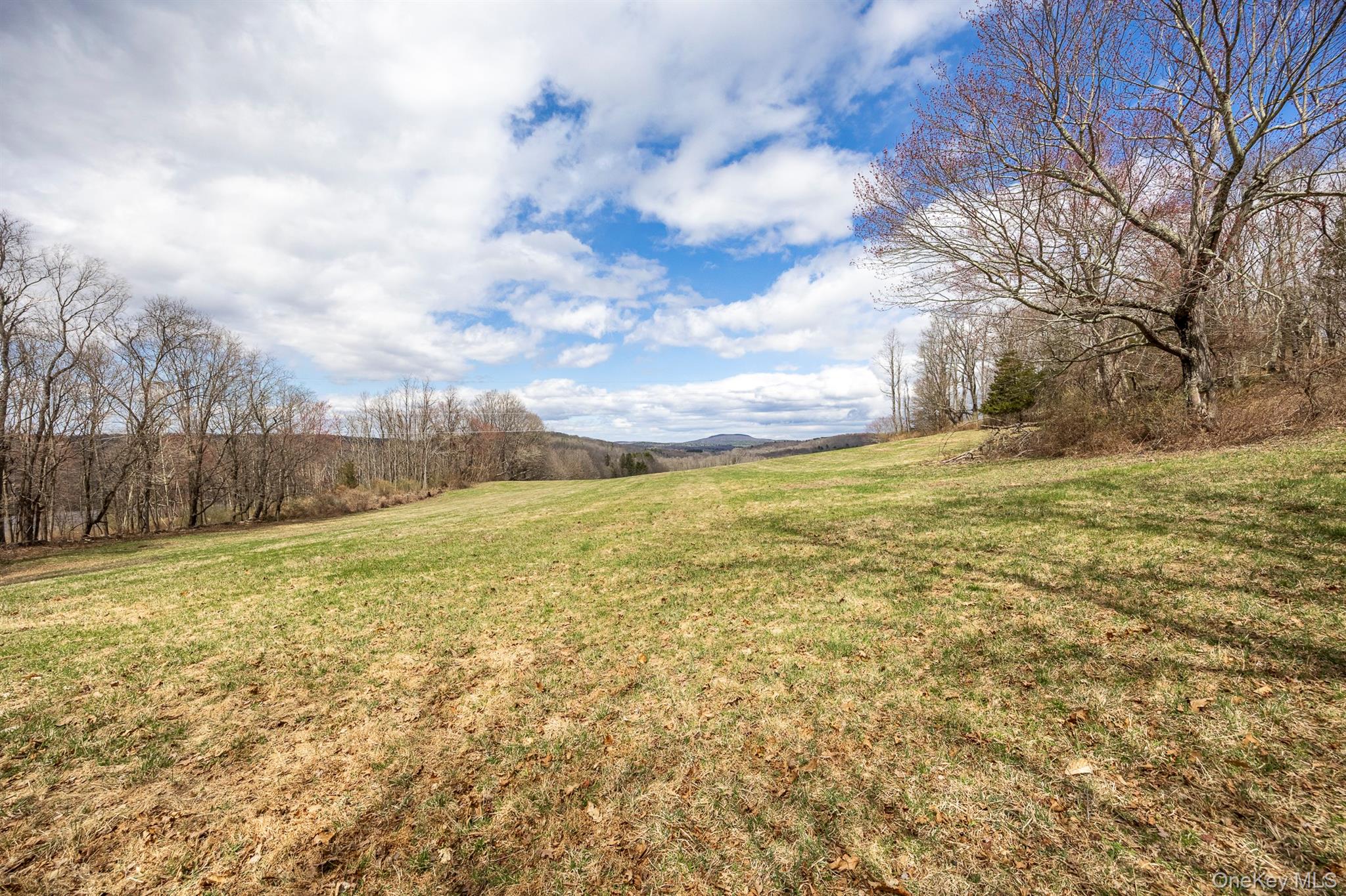 12 Hunns Lake Road Property Photo 19
