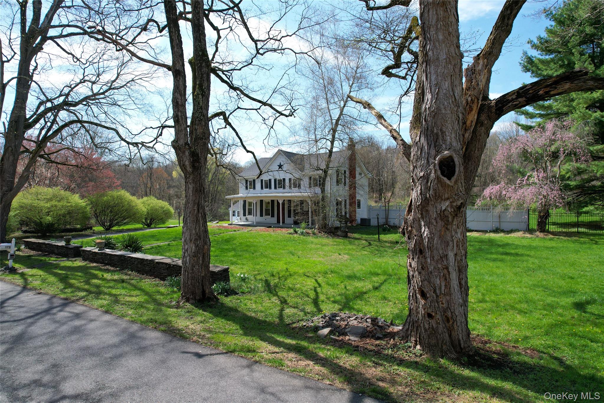176 Williams Road Property Photo 37