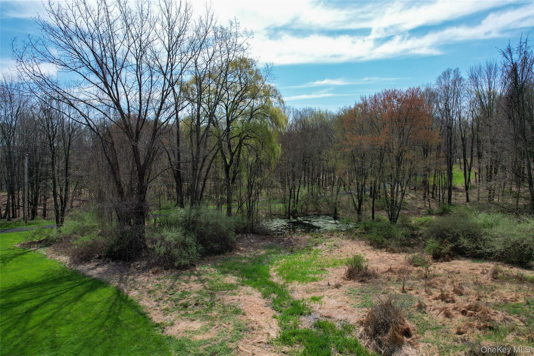 176 Williams Road Property Photo 38