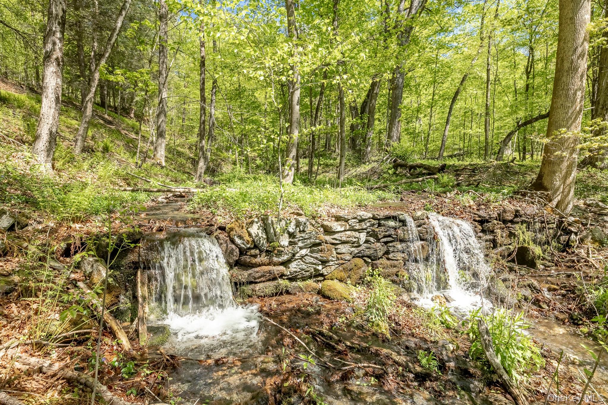 Overlook Drive Property Photo 1