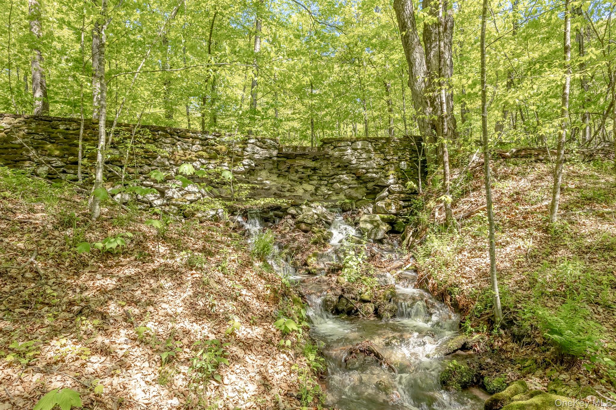 Overlook Drive Property Photo 6