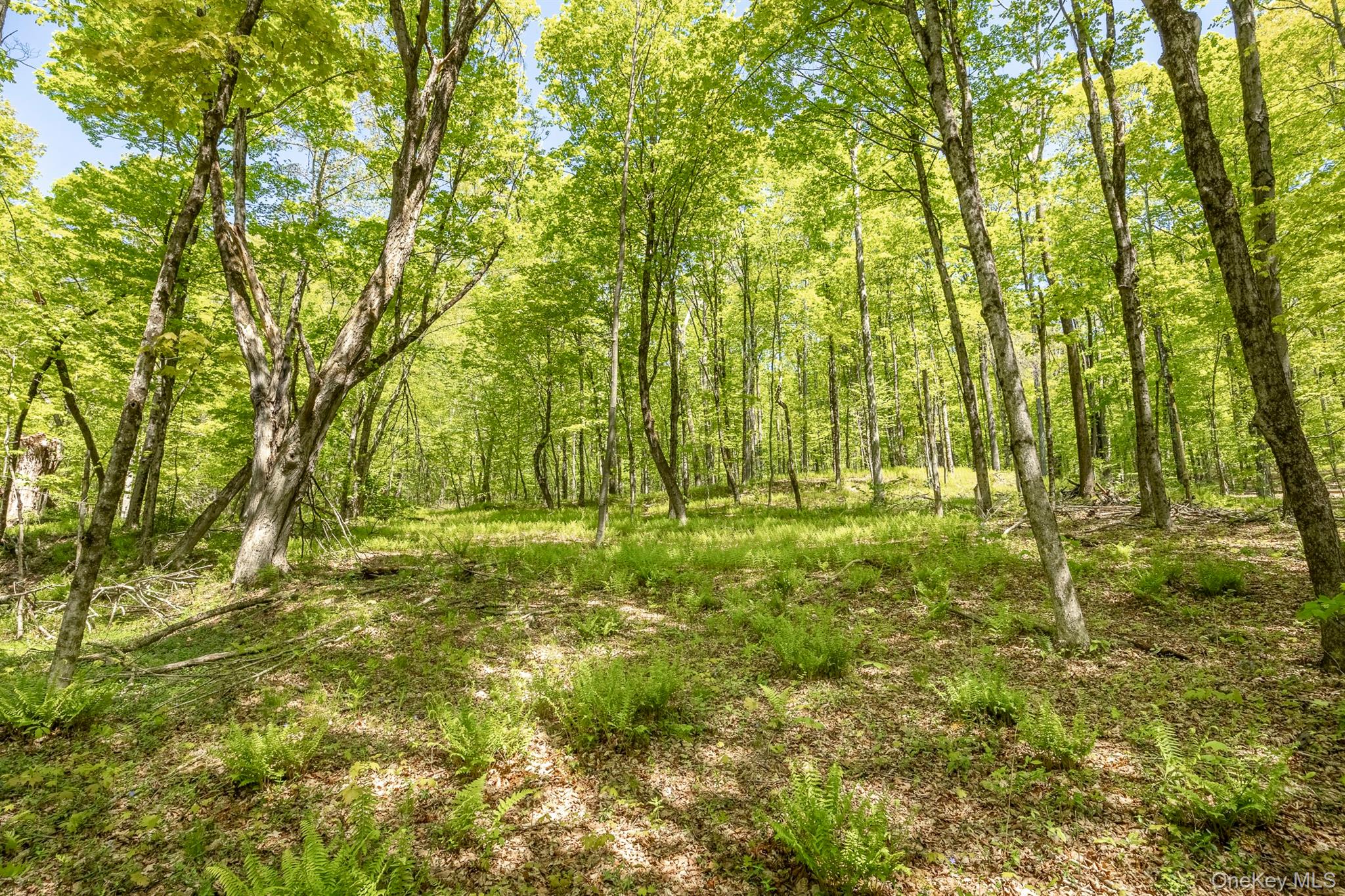 Overlook Drive Property Photo 8