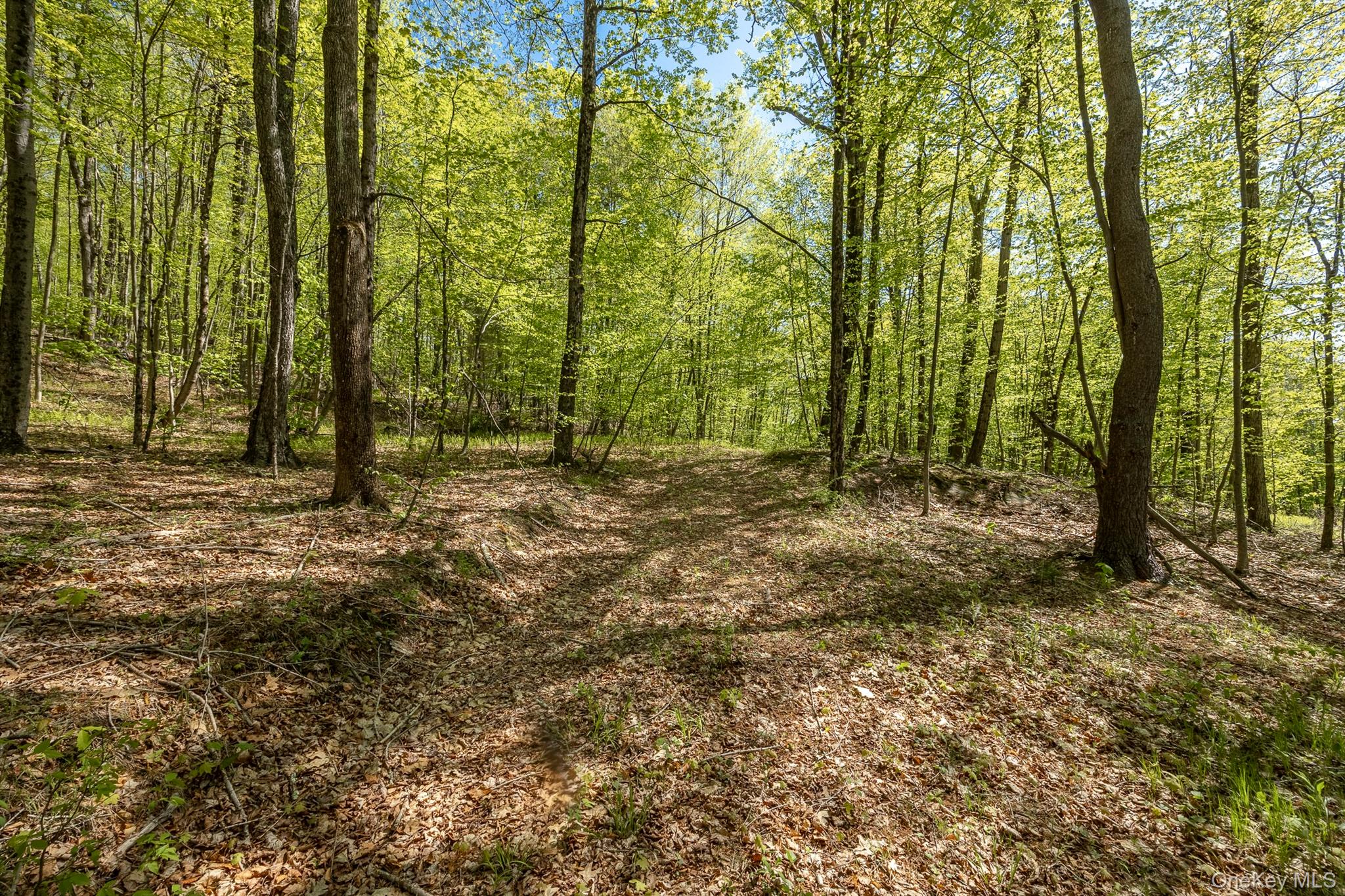 Overlook Drive Property Photo 10