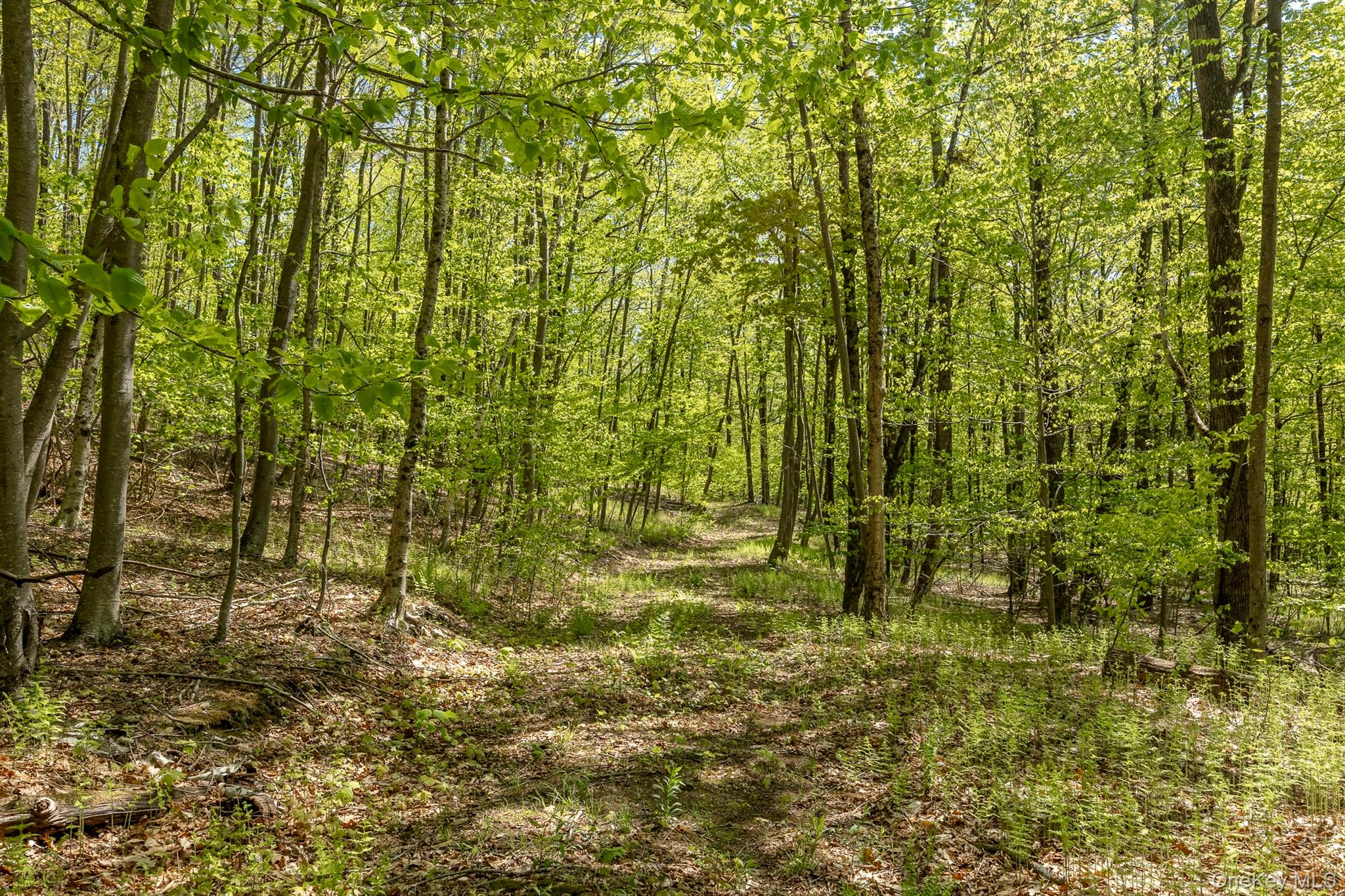 Overlook Drive Property Photo 11