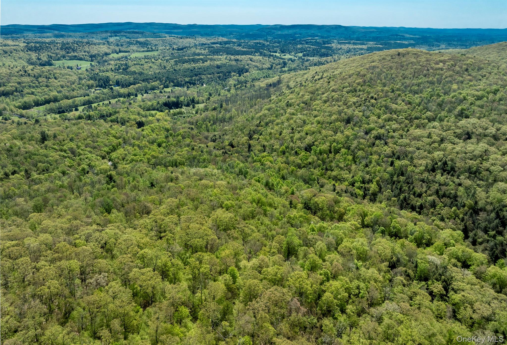 Overlook Drive Property Photo 12