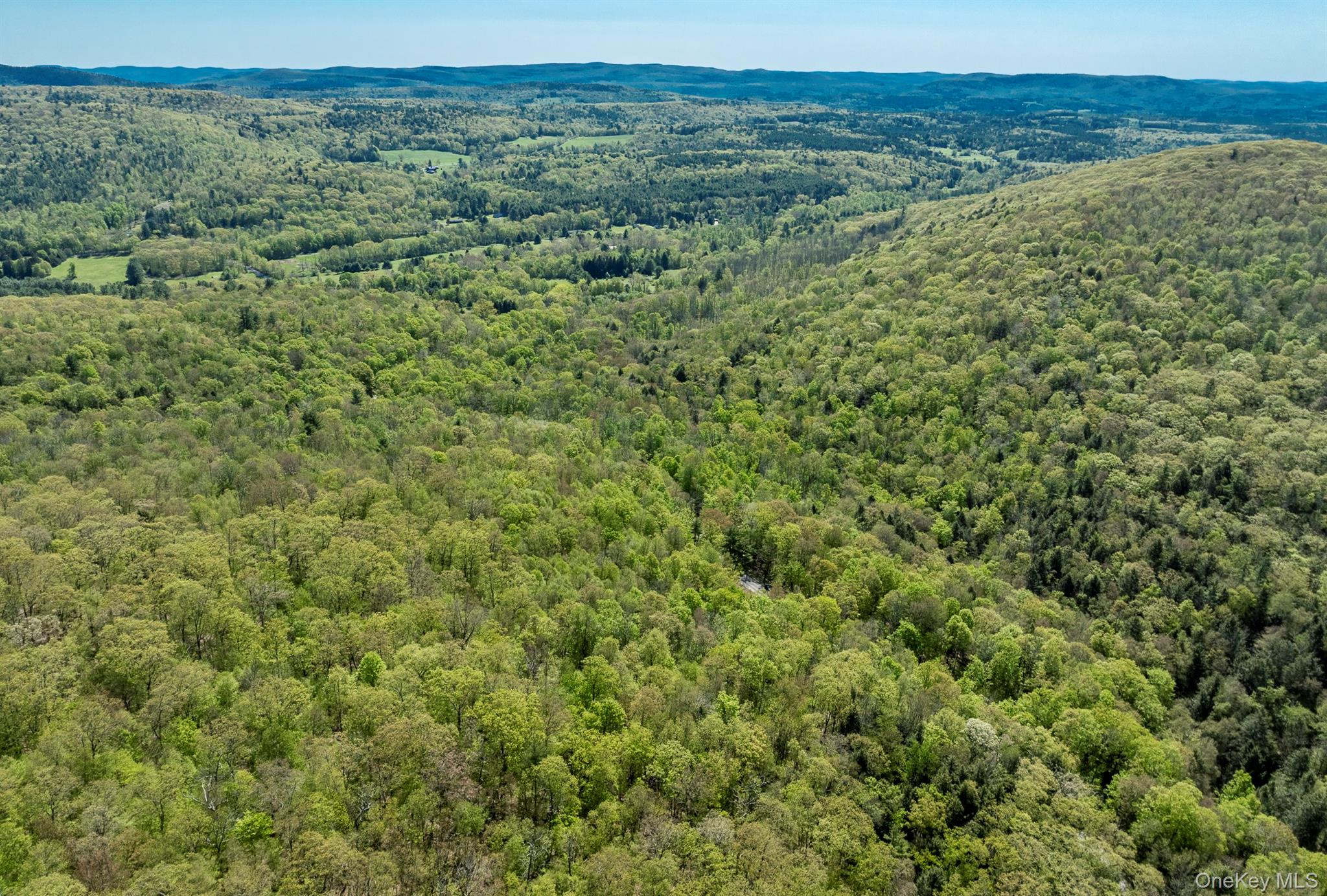 Overlook Drive Property Photo 13