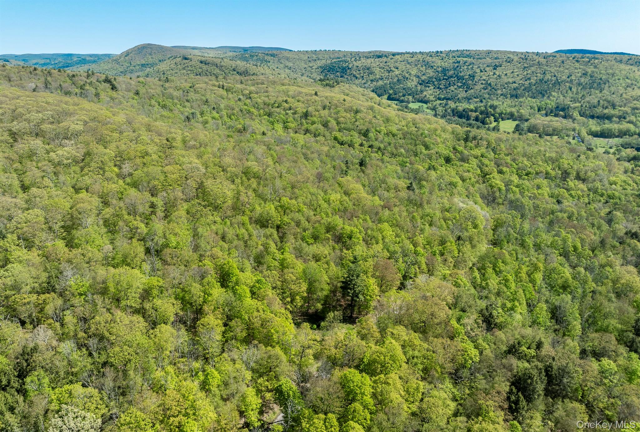 Overlook Drive Property Photo 14