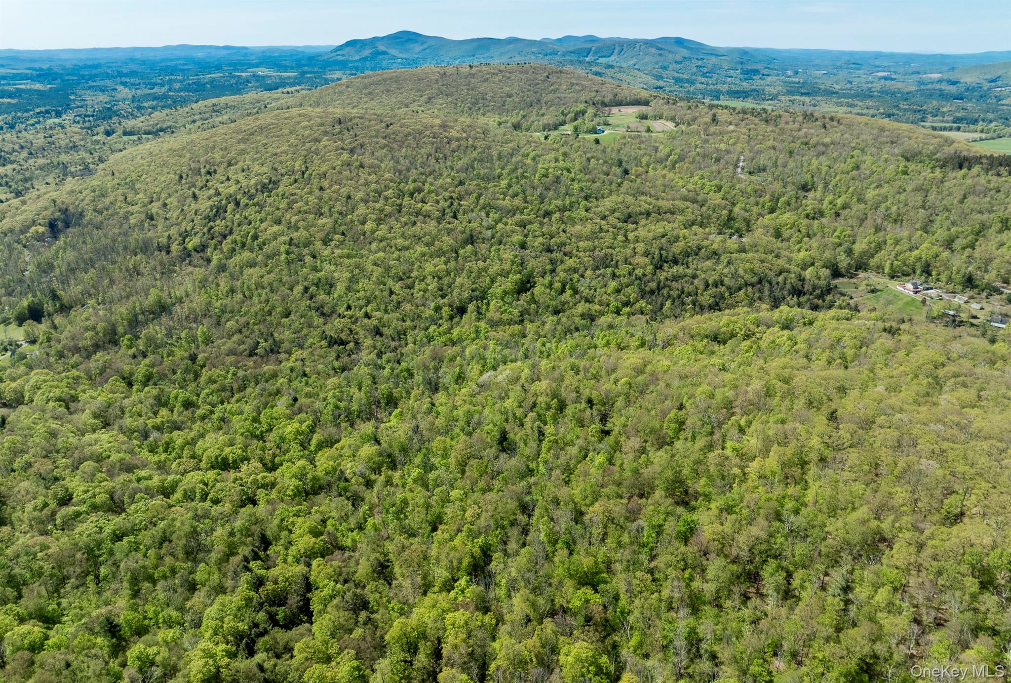 Overlook Drive Property Photo 16