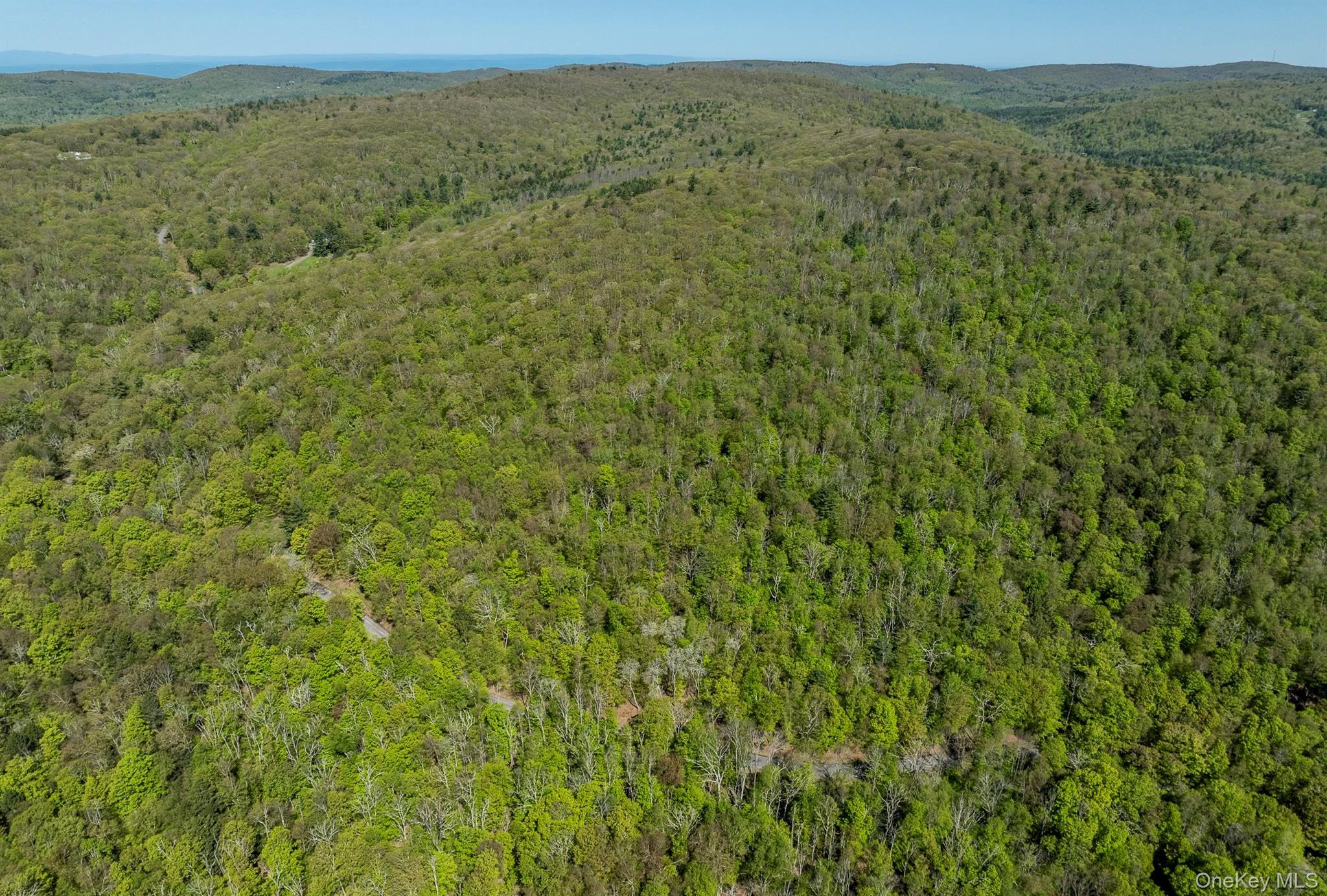 Overlook Drive Property Photo 18