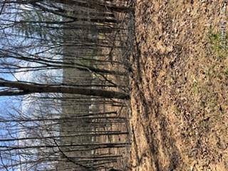 14 Old Country Road Property Photo 1