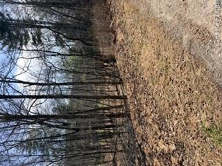 14 Old Country Road Property Photo 2