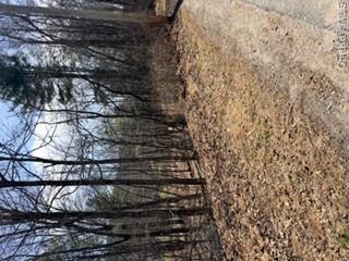 14 Old Country Road Property Photo 3