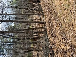 14 Old Country Road Property Photo 4