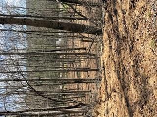 14 Old Country Road Property Photo 5