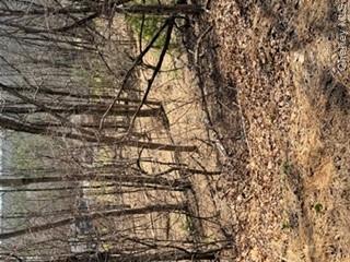 14 Old Country Road Property Photo 6