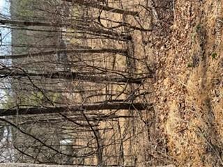 14 Old Country Road Property Photo 7
