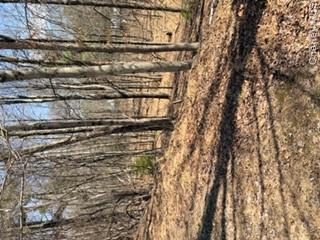 14 Old Country Road Property Photo 8