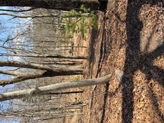 14 Old Country Road Property Photo 9