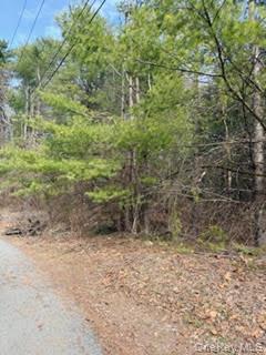 1304 Us Route 209 Property Photo 1