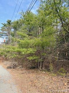 1304 Us Route 209 Property Photo 2