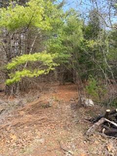 1304 Us Route 209 Property Photo 3