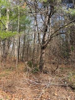 1304 Us Route 209 Property Photo 4