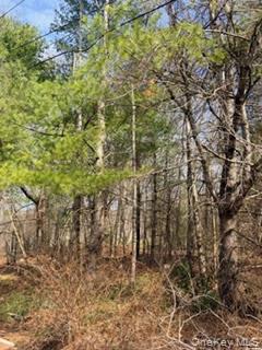 1304 Us Route 209 Property Photo 5