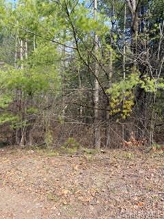 1304 Us Route 209 Property Photo 8