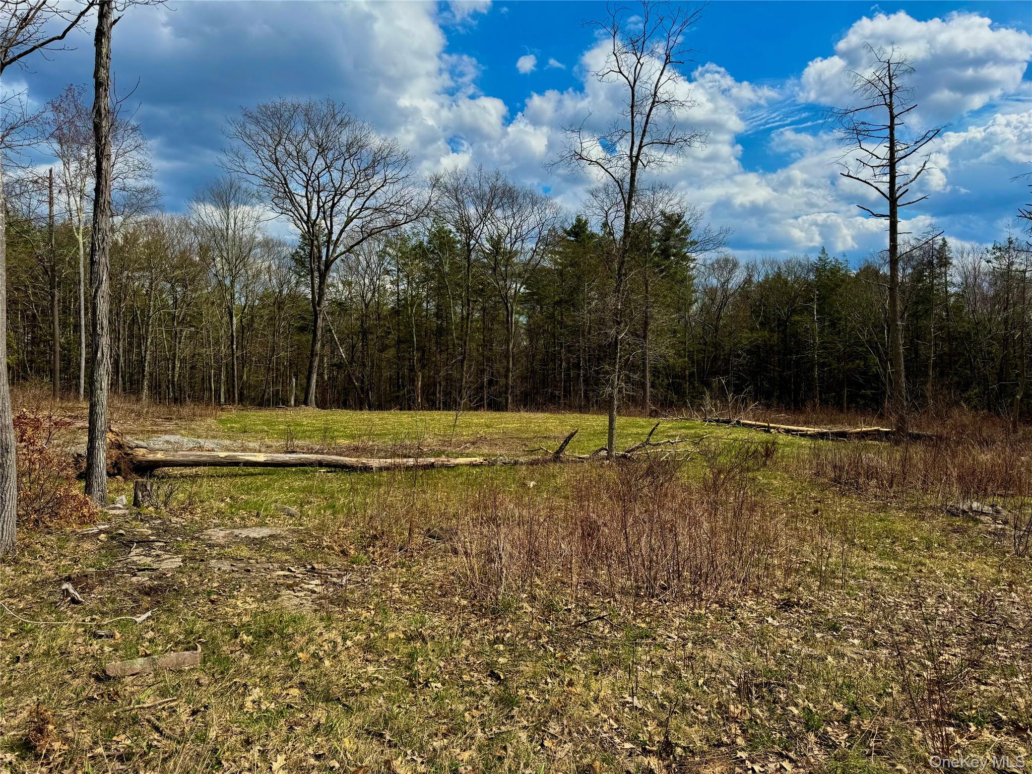 Tbd City Route 403 Property Photo 5