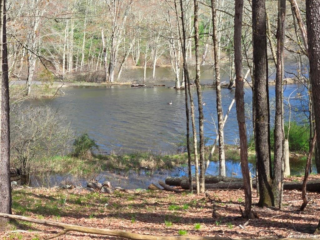 86 Plank Road Property Photo 13