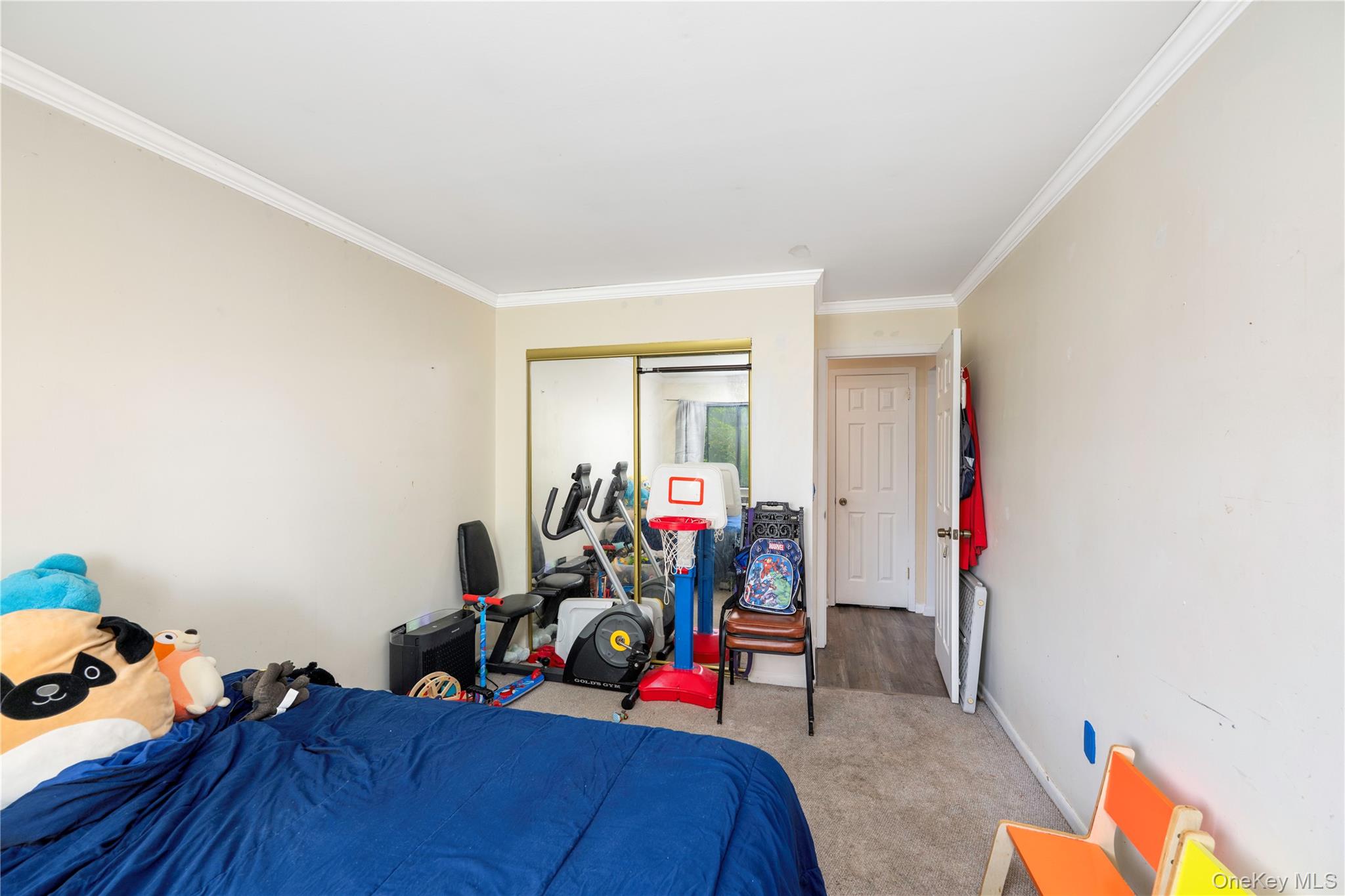 7 Loudon Drive 8 Property Photo 12