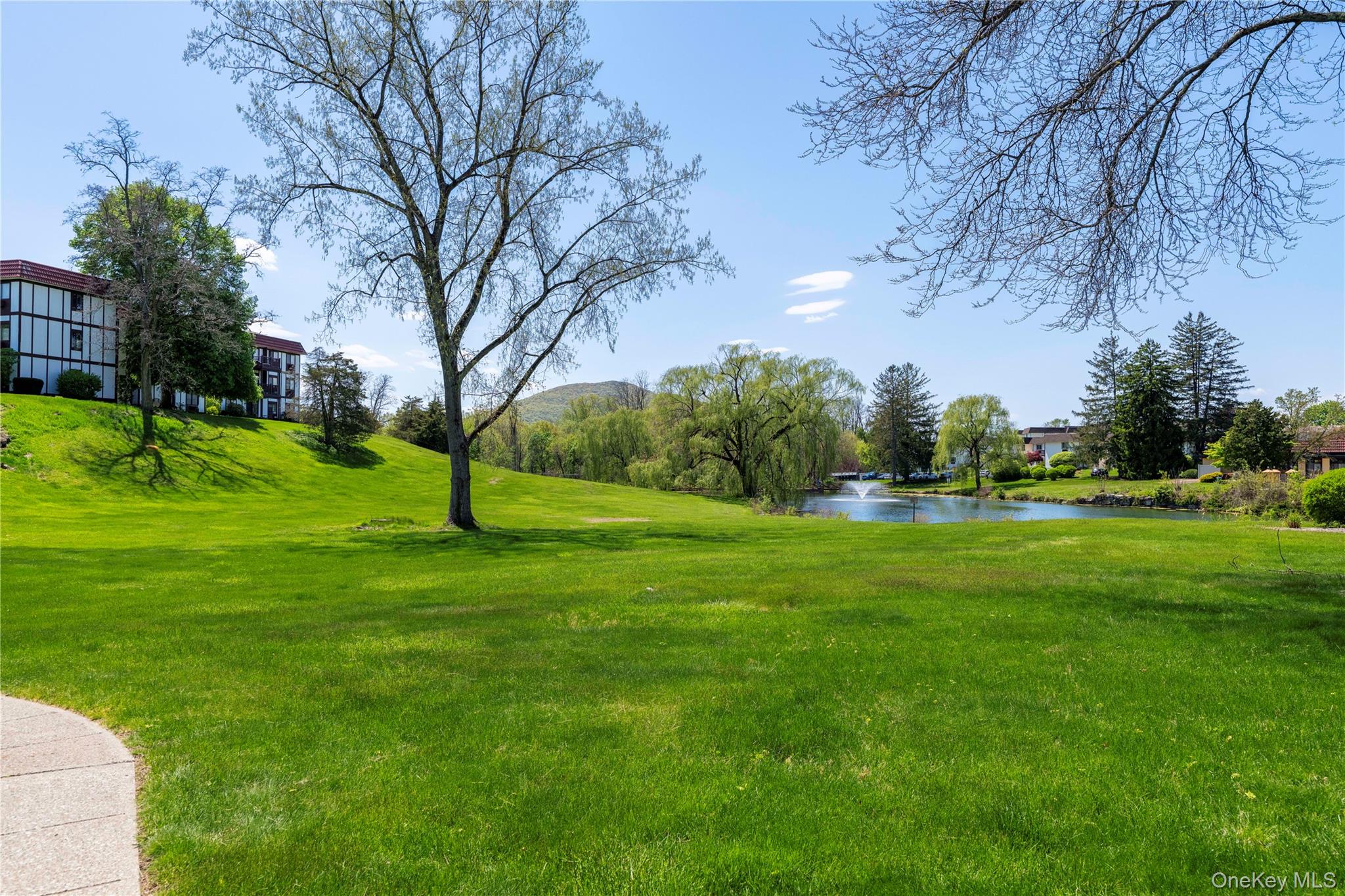 7 Loudon Drive 8 Property Photo 19
