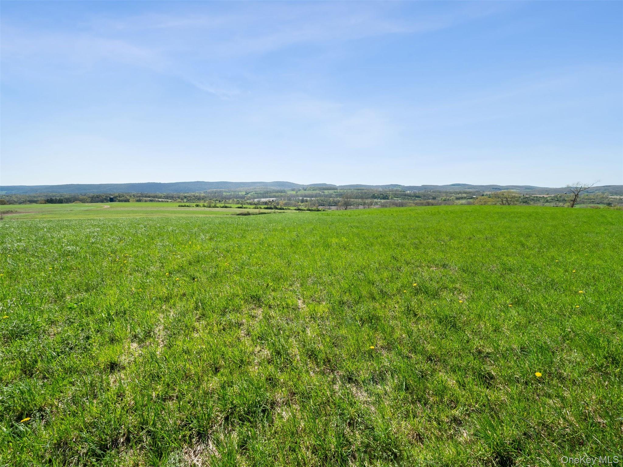 156 Sharon Station Road Property Photo 13
