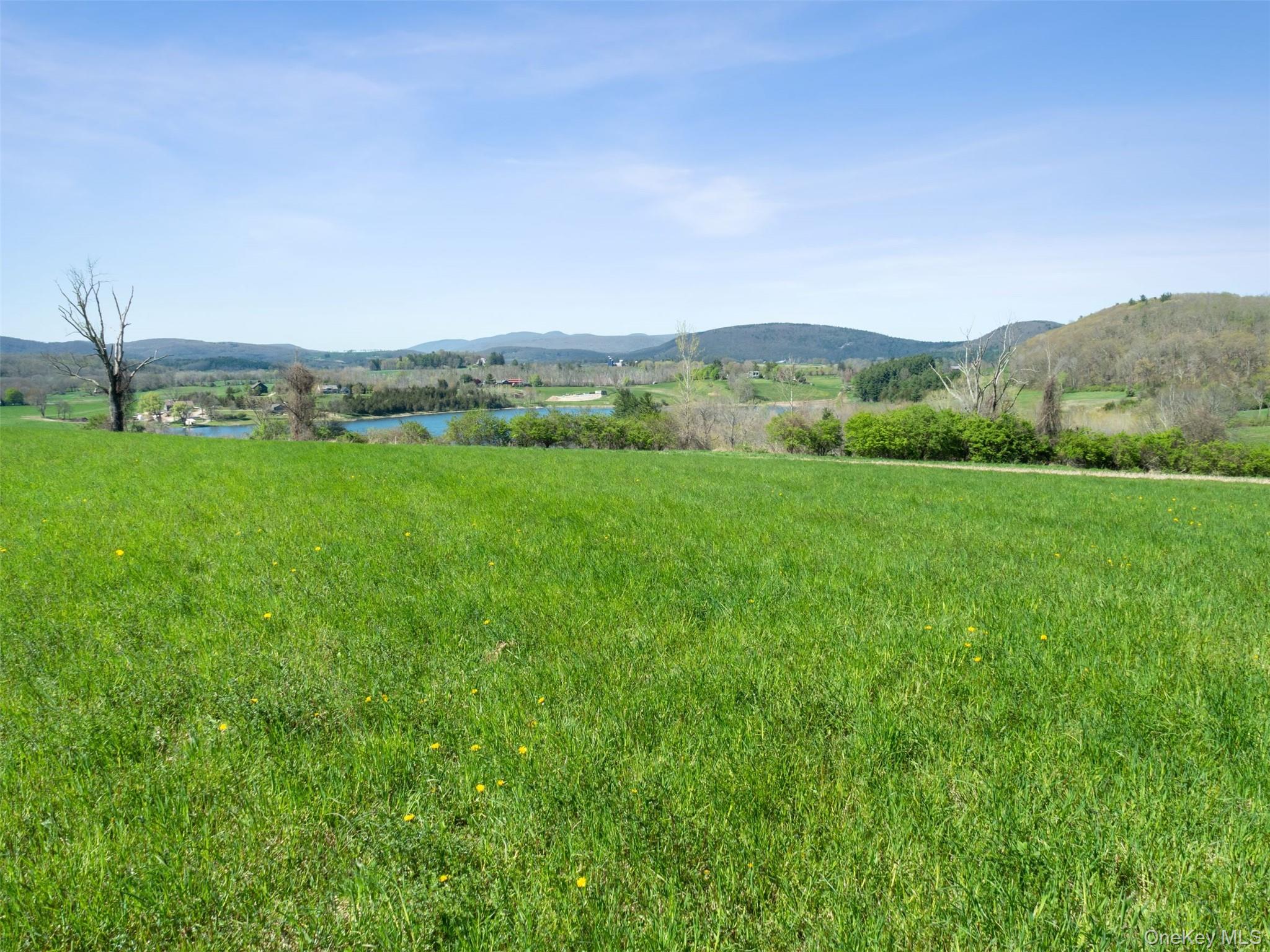 156 Sharon Station Road Property Photo 14