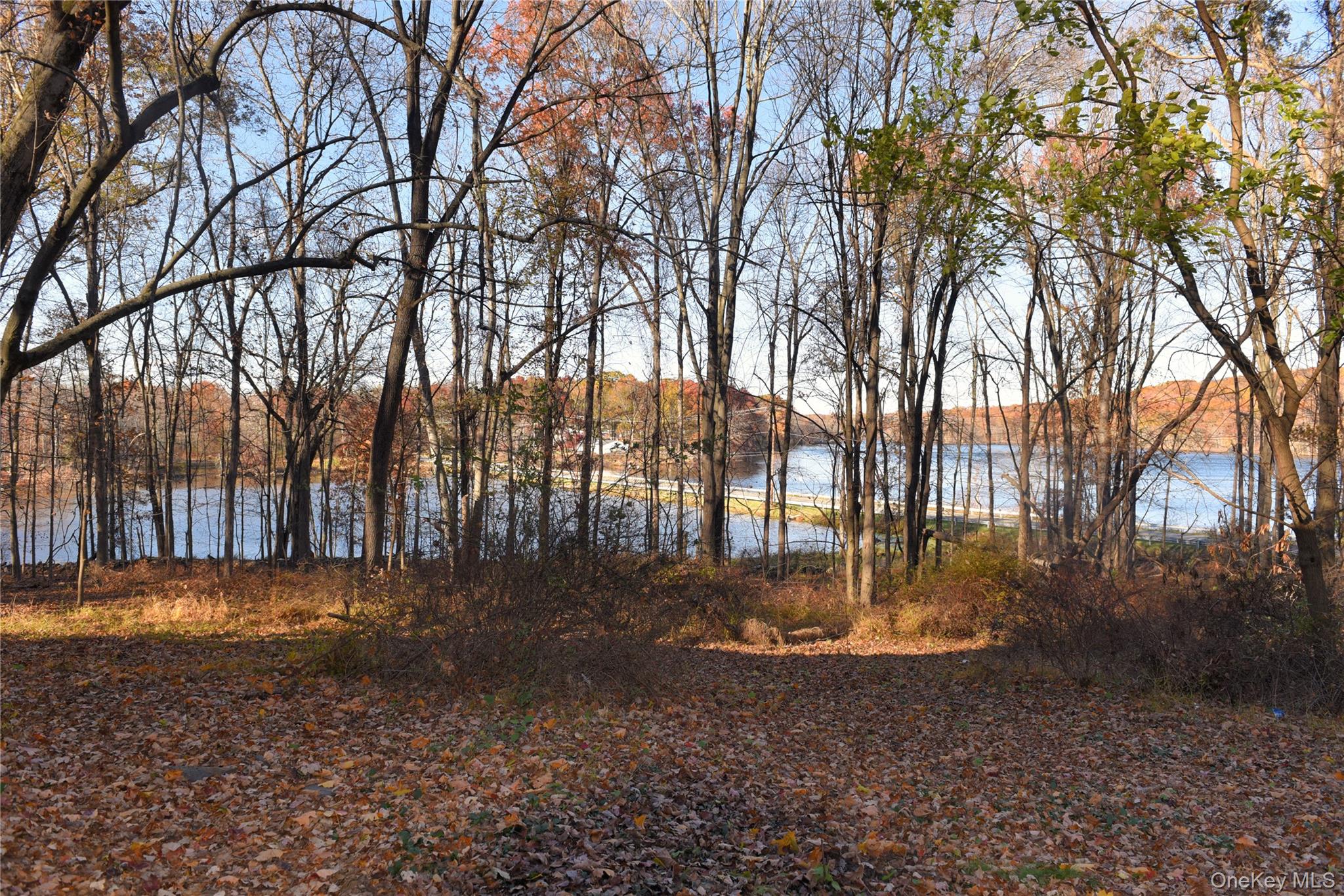 610 Mount Airy Road Property Photo 7
