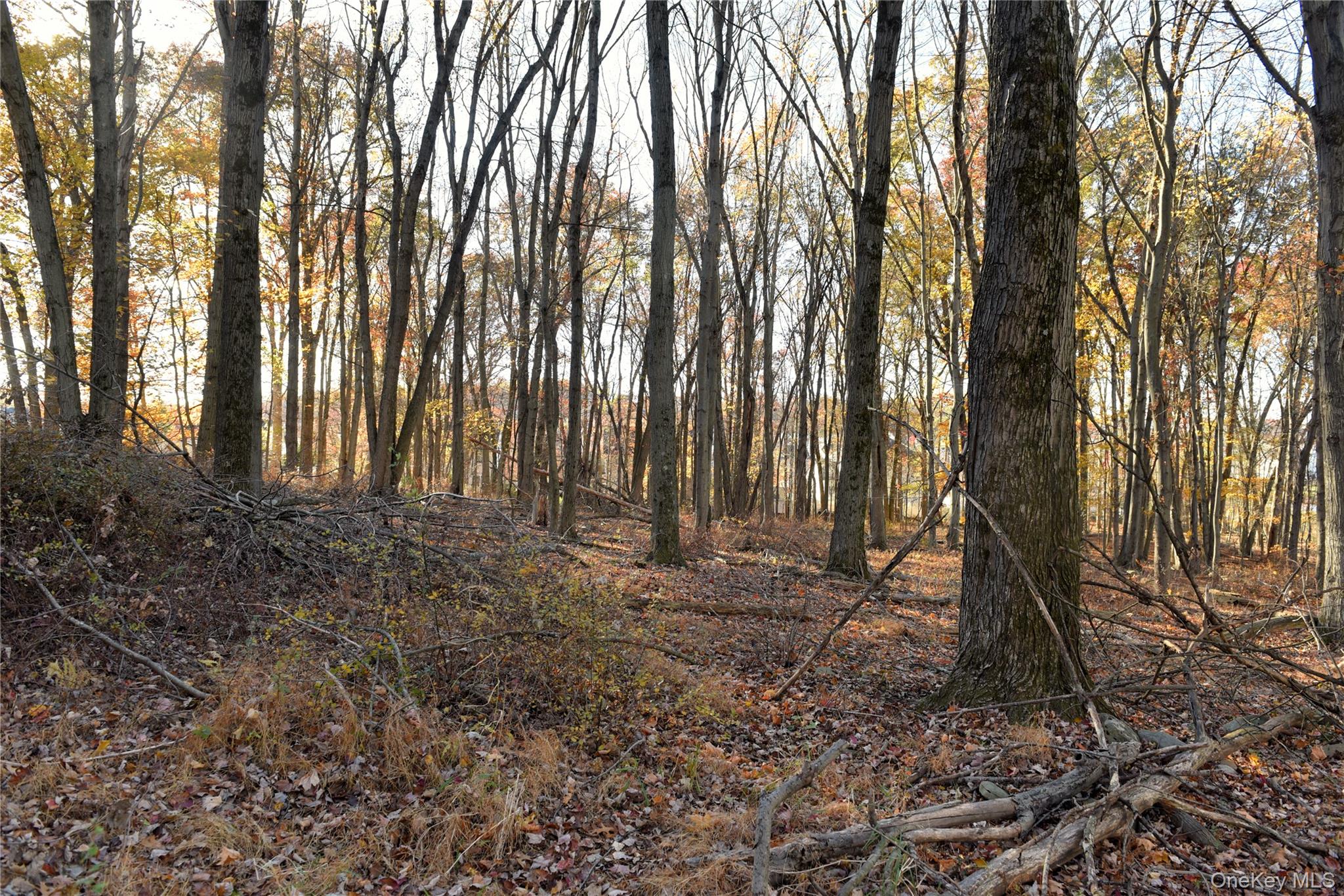 610 Mount Airy Road Property Photo 24